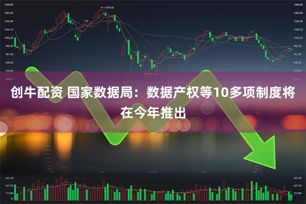 创牛配资 国家数据局：数据产权等10多项制度将在今年推出